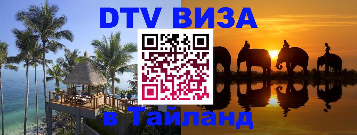 Сколько стоит DTV виза — актуальные цены, оформление даже без документов - Новороссийск 